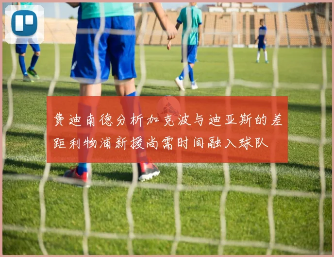 费迪南德分析加克波与迪亚斯的差距利物浦新援尚需时间融入球队