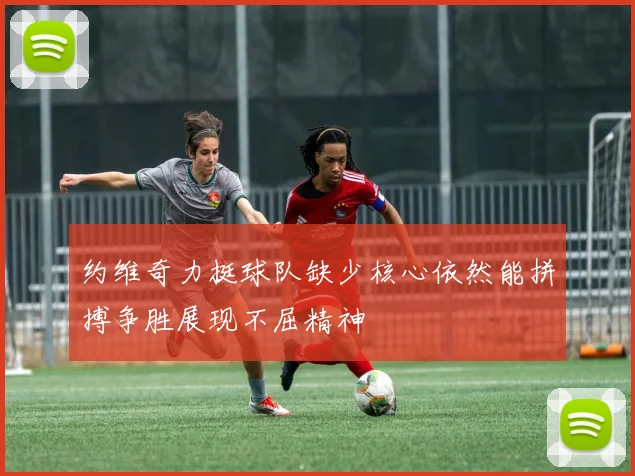 约维奇力挺球队缺少核心依然能拼搏争胜展现不屈精神
