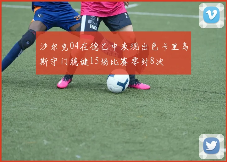 沙尔克04在德乙中表现出色卡里乌斯守门稳健15场比赛零封8次