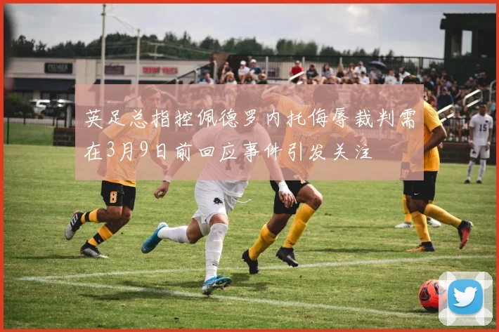 英足总指控佩德罗内托侮辱裁判需在3月9日前回应事件引发关注
