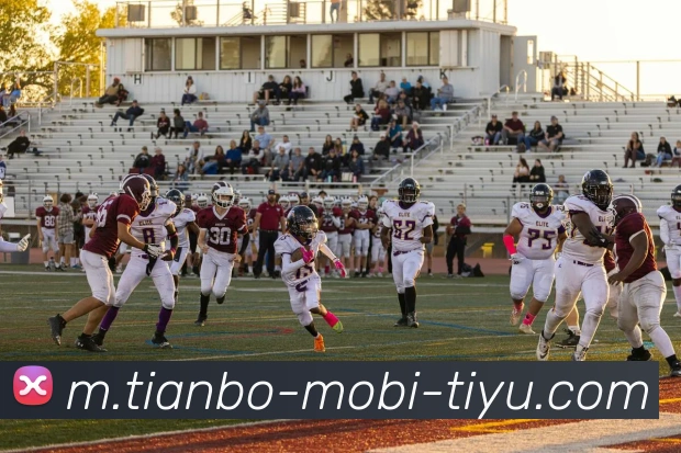 多媒体互动体验