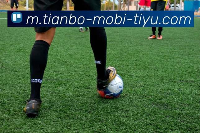 天博体育APP 高清赛事图